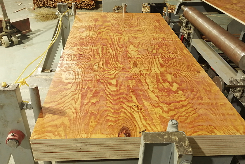 廣西這一家的建筑模板質(zhì)量好賣得也挺快插圖1 廣西這一家的建筑模板質(zhì)量好賣得也挺快插圖1