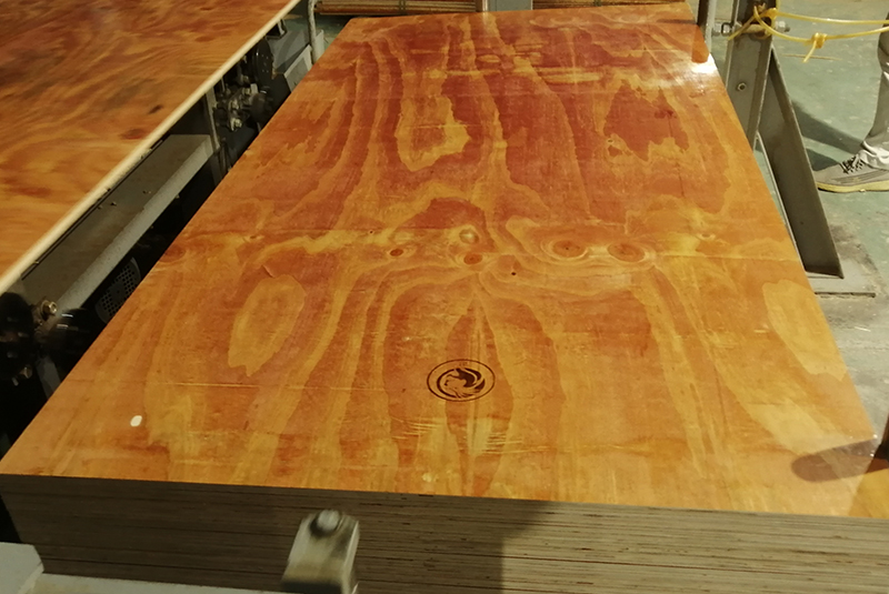 廣西建筑模板批發(fā)找那個廠好插圖 廣西建筑模板批發(fā)找那個廠好插圖